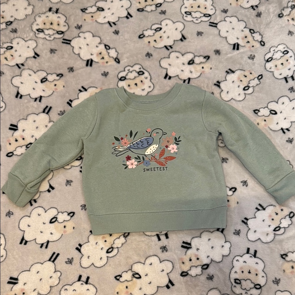 Garanimals Green Sweatshirt Cozy and Stylish
